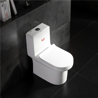 Hot Sale Container Intelligent Whole Set Bathroom Toilet