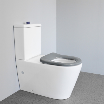 Luxury Modern Bathroom Floor Mounted Smart Sanitary Ceramic Toilet